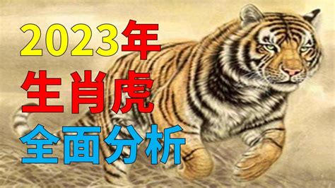 2023年屬虎運勢